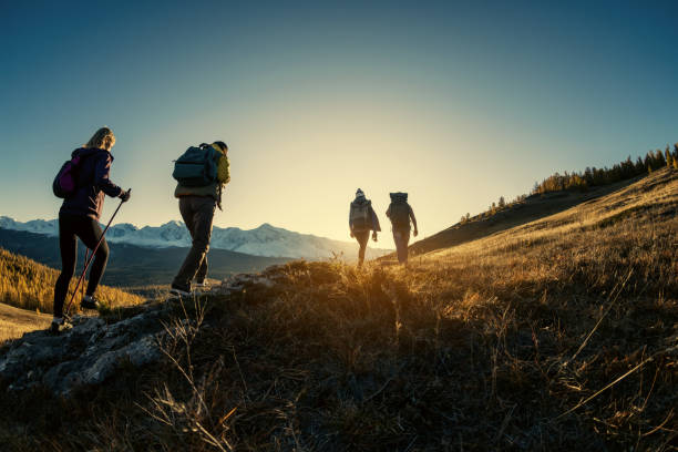 group of young hikers walks in mountains at sunset time